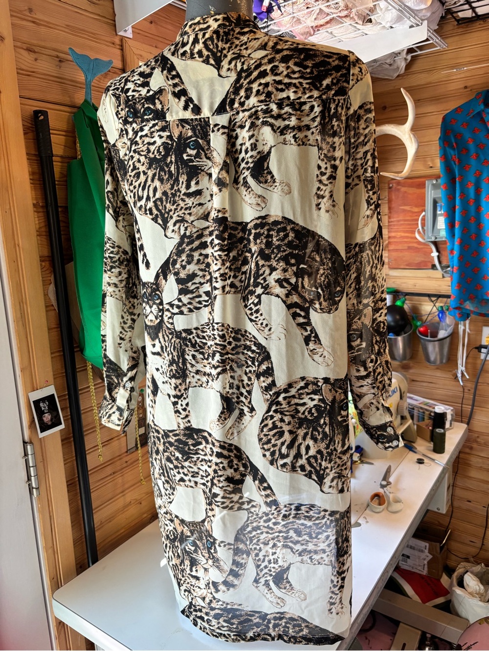 Chiffon kitten shirt dress